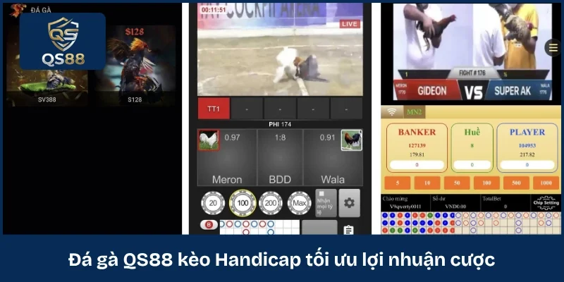 Đá gà QS88 kèo Handicap tối ưu lợi nhuận cược