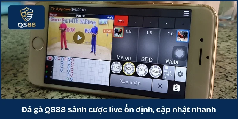 Đá gà QS88 sảnh cược live ổn định, cập nhật nhanh